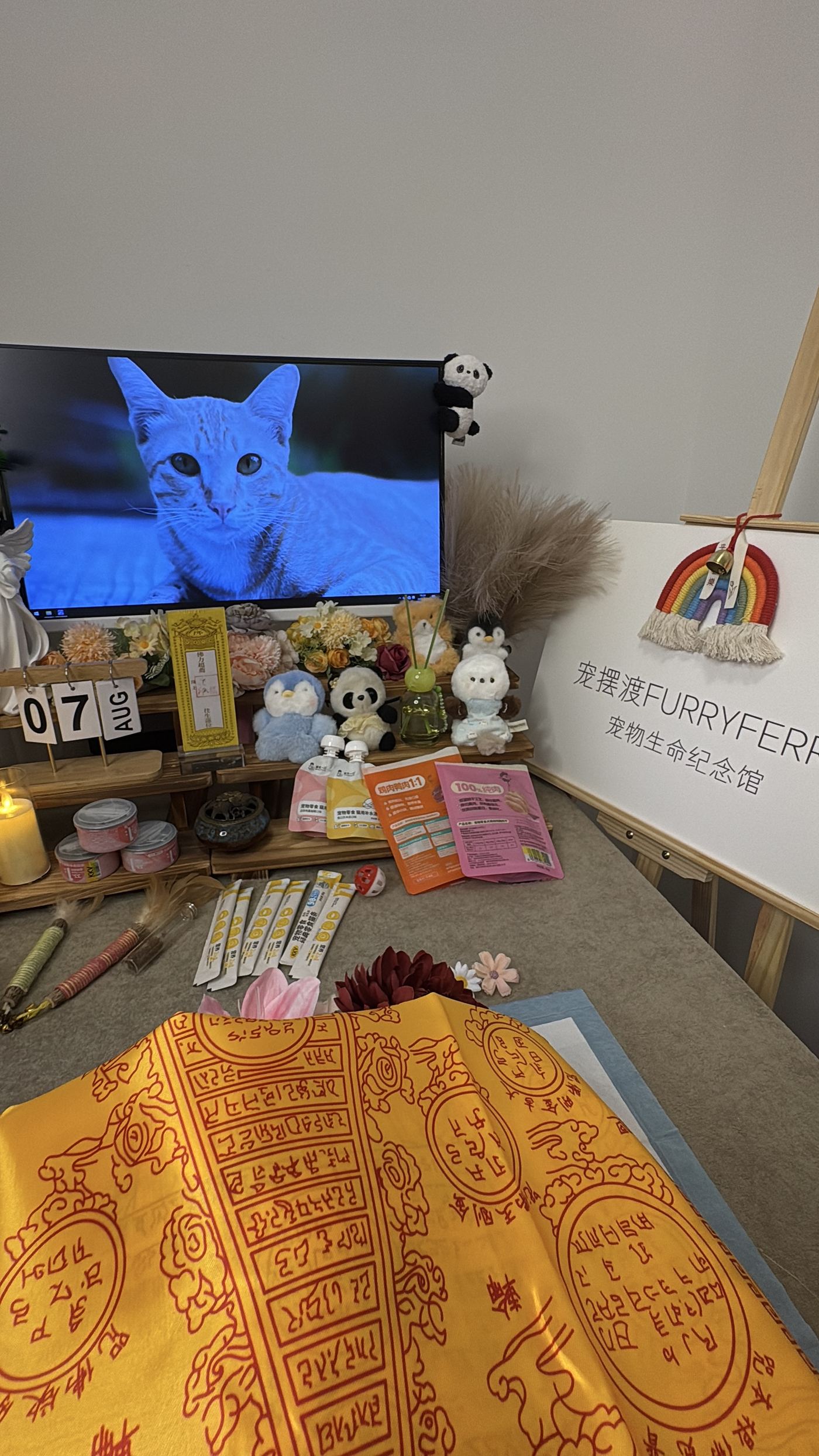 需要提前准备好这些