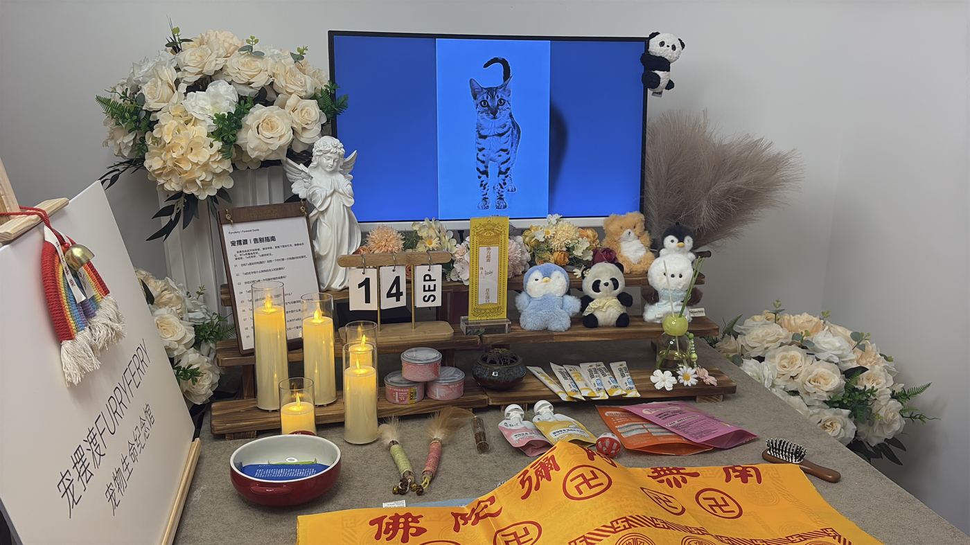 一、六个环节，环环相扣