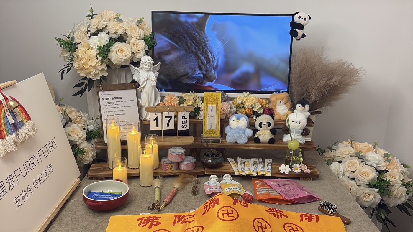 临终前的身体表现