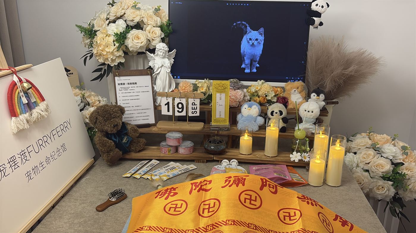 扬州宠物告别厅实景