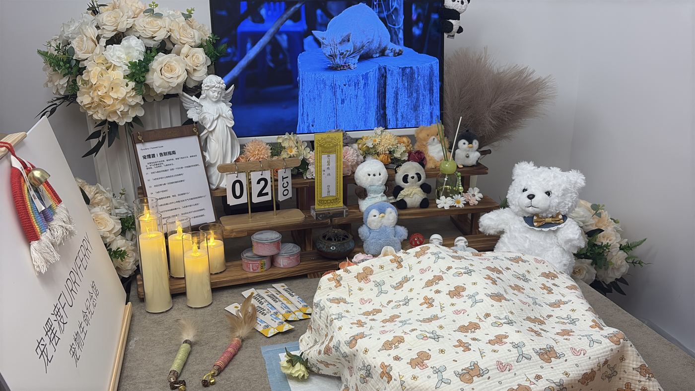 扬州宠物告别厅布置：如何给广陵家属一个体面的告别