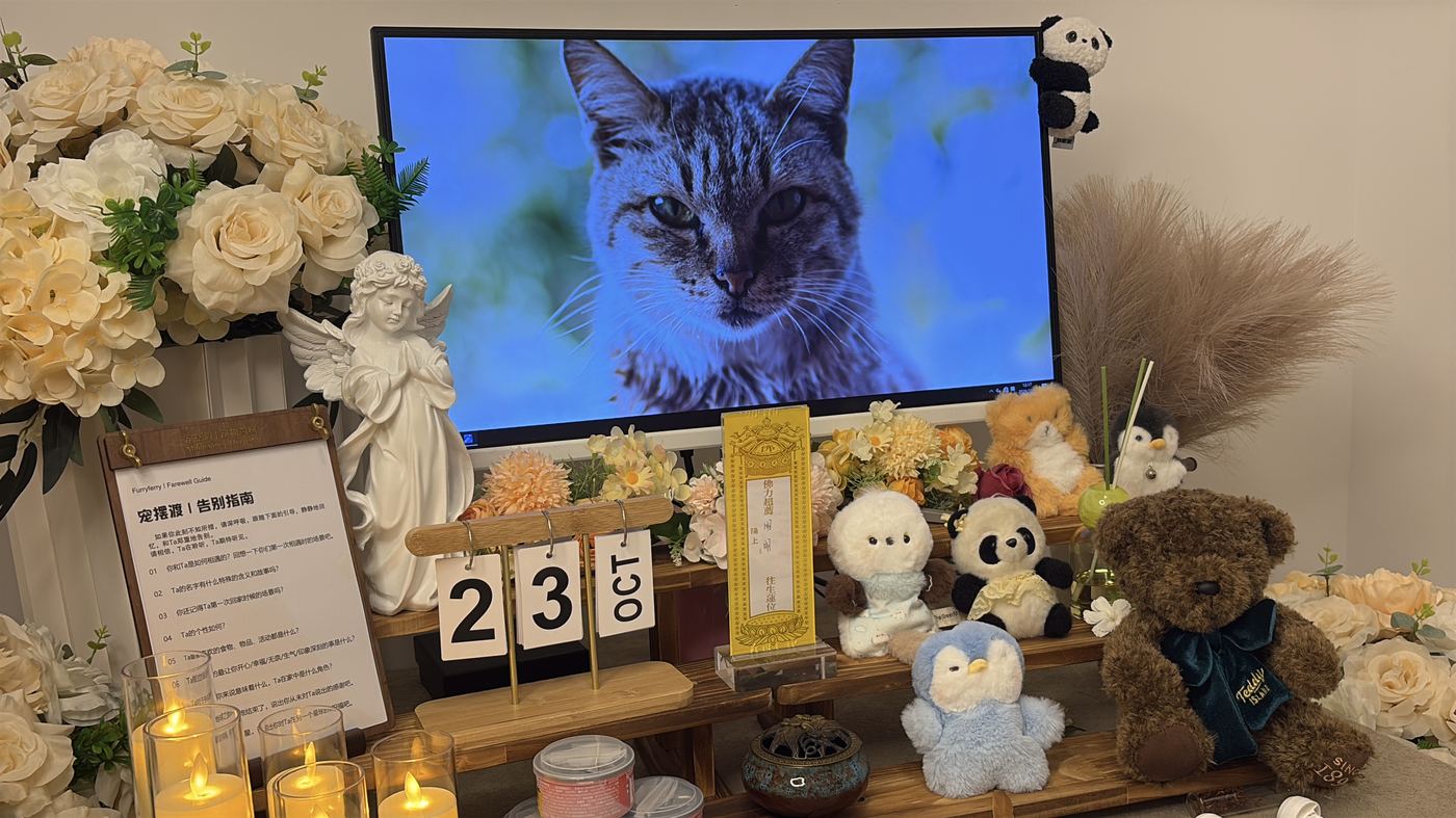 节日期间宠物殡葬服务安排：扬州春节与清明假期指南